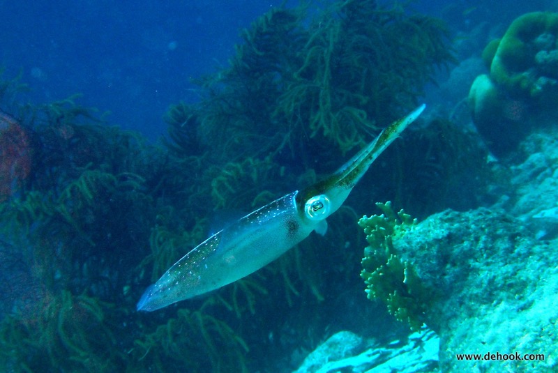PA080057.JPG