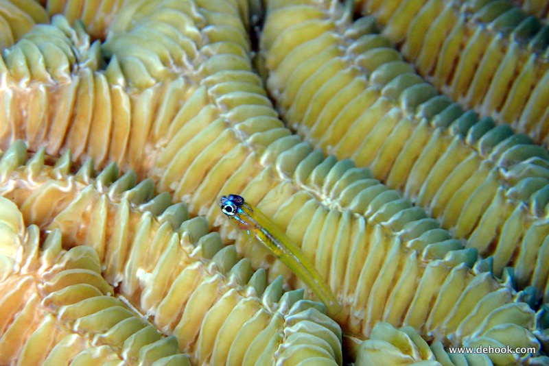 PA090089.JPG