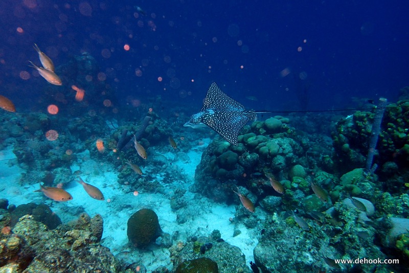 PA100212.JPG