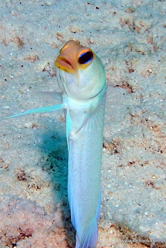 PA100347.JPG