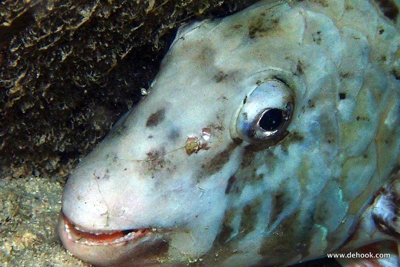 PA100388.JPG