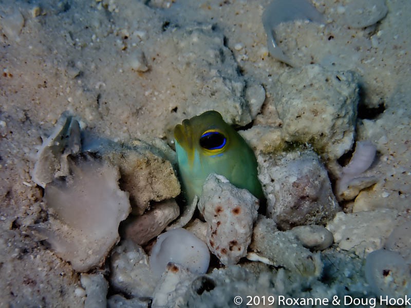 P3120344-studio.jpg