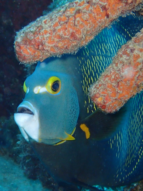 PA091487.JPG