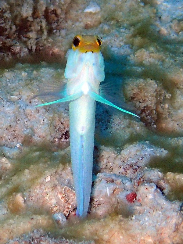PA101614.JPG